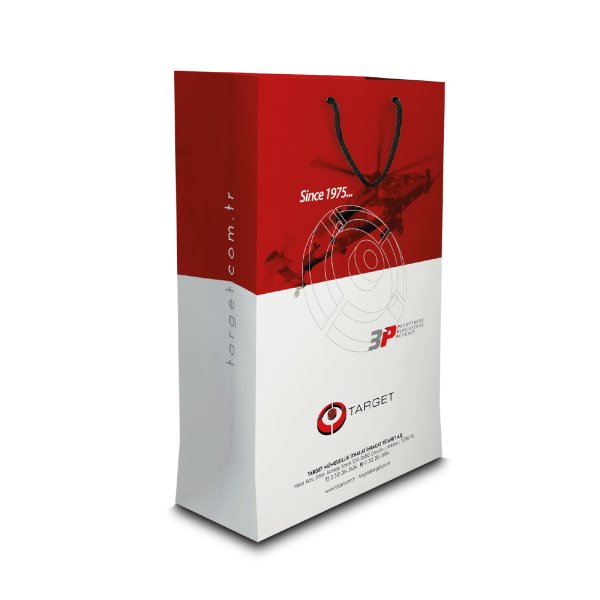 Afyon ALA-54 BÜYÜK BOY DİKEY KARTON ÇANTA(36x23x10.5 cm)